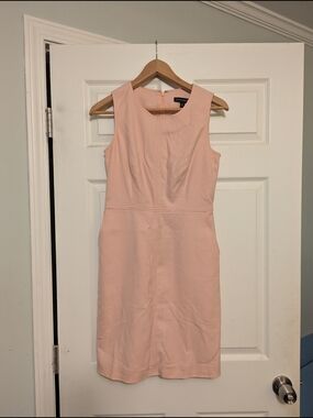 Banana Republic Blush Sheath Dress